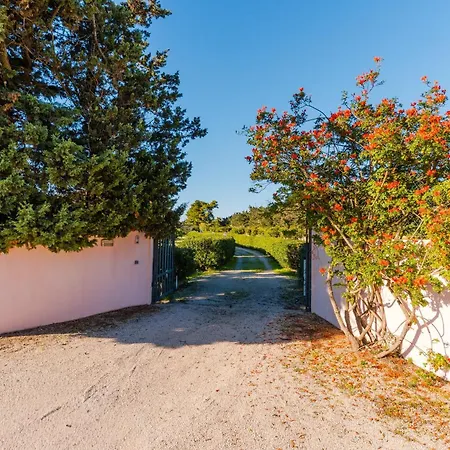 Villa S Venardia *